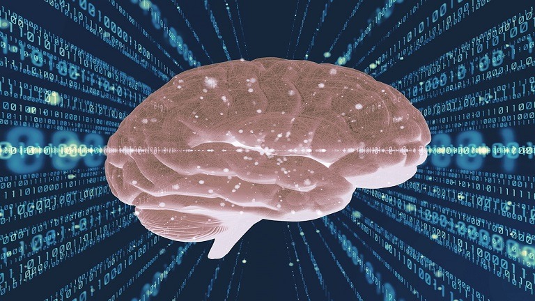 Çfarë saktësisht bën truri juaj kur lexoni një kod?