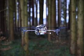 AI: Dronët mund të gjejnë njerëzit e humbur në pyll