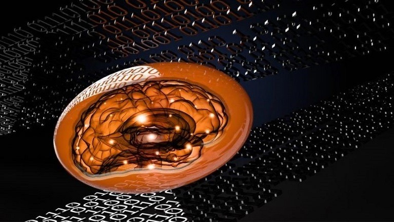 Metamaterial i butë dhe mekanik që mund të "mendojë" ofron mundësi prodhimi të Makinerive të Dobishme "të Gjalla" në të ardhmen