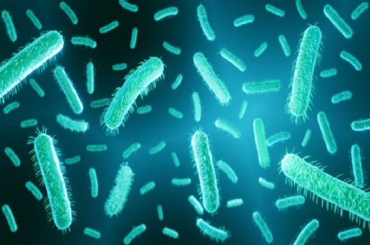 Mikrobotët bakterialë një ditë mund të luftojnë kancerin